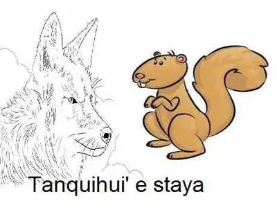 imagen el coyote y laradilla.jpg